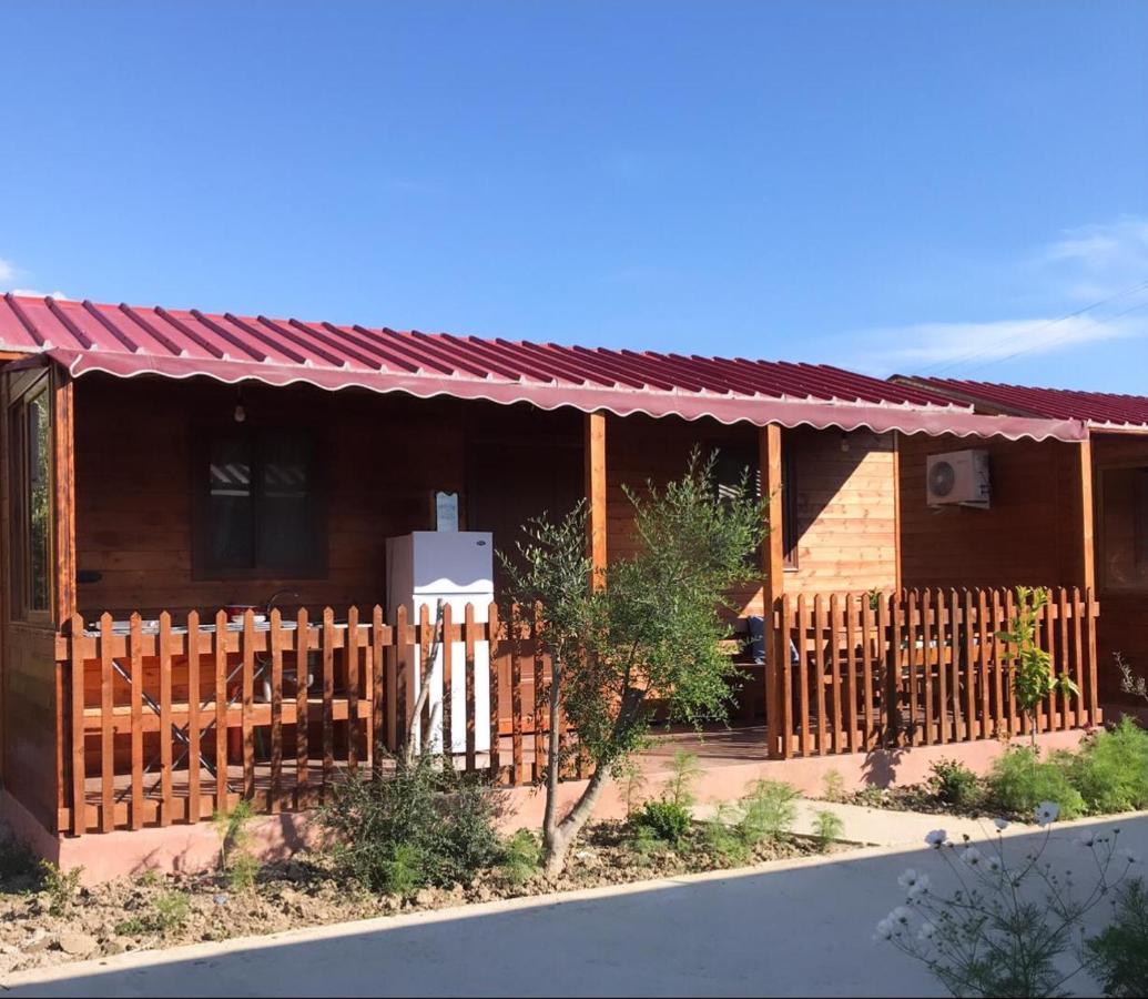 Violet Village Borsh Exterior photo